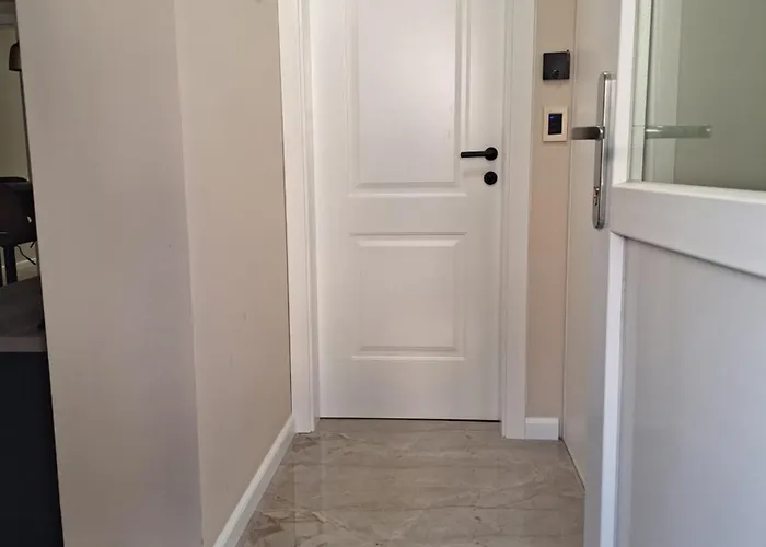 Brand New Aurus Daire *